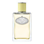 Ingwer-Infusion - Eau de Parfum