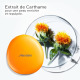 SHISEIDO SUN PROTECT - Recharge Fond de Teint - Compact