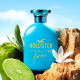 HOLLISTER-Feelin' Free for Him - Eau de Toilette