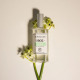 BERDOUES-1902 Tradition Jasmin - Eau de Cologne