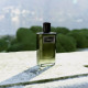 BRIONI PARFUM Essential - Eau de Parfum