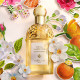 Aqua Allegoria Mandarine Basil - Eau de Toilette Set
