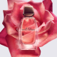 All of Me - Eau de Parfum NARCISO RODRIGUEZ