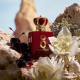Q by Dolce & Gabbana - Elixir DOLCE&GABBANA