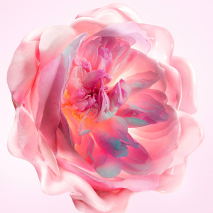 Miss Dior Crème Mains Fondante - Crème hydratante parfumée pour les mains