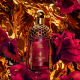 Absolus Allegoria Rose Amira - Eau de Parfum GUERLAIN