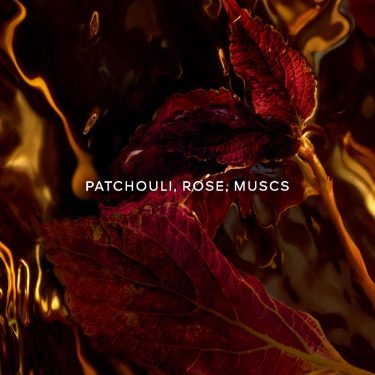 Absolus Allegoria Patchouli Ardent - Eau de Parfum GUERLAIN