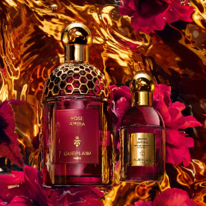 Absolus Allegoria Rose Amira - Brume Cheveux
