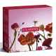 Coffret Eau Dynamisante - Eau de Soin 100ml CLARINS