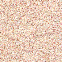 101 Rose Gold