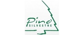 PINO SILVESTRE