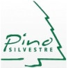 PINO SILVESTRE